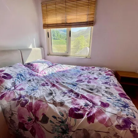 Stani I Metes-bujtina Casa vacanze Sebisht